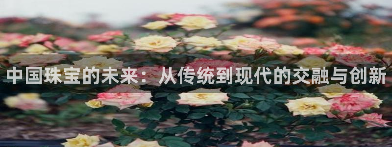 新航线娱乐会所