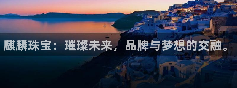 新航娱乐公司简介图片