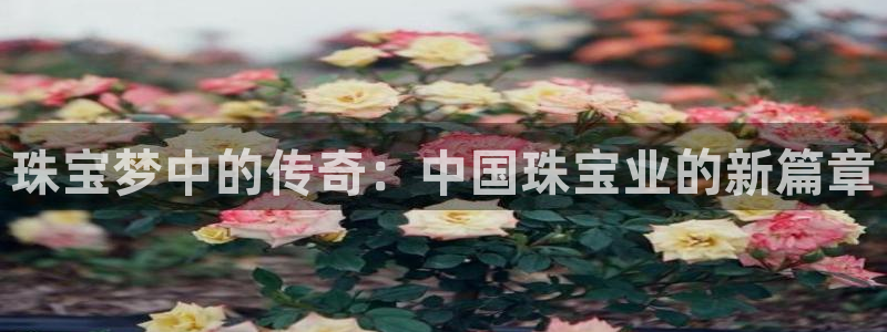 新航娱乐公司简介