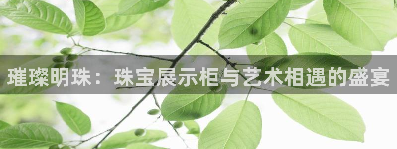 打造娱乐新航母