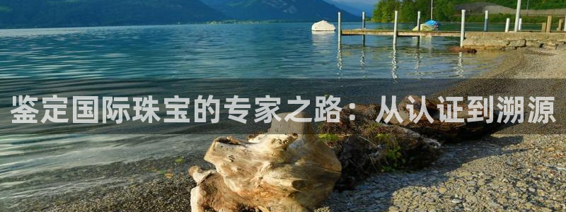 新航娱乐旗下艺人列表