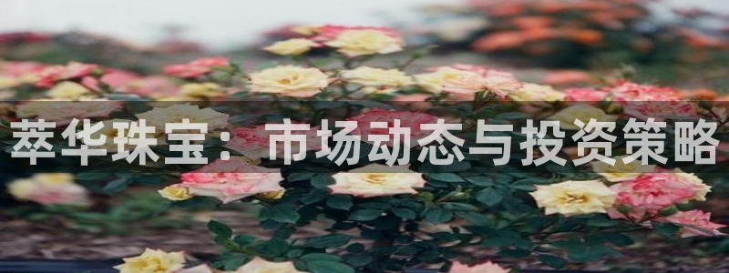 萧山娱乐新航母阿里巴巴