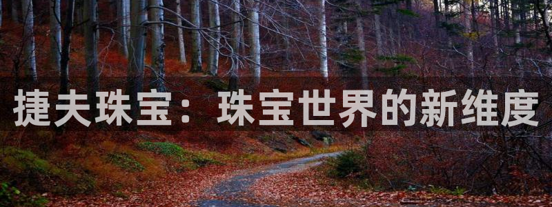新航娱乐q被骗：捷夫珠宝：珠宝世界的新维度